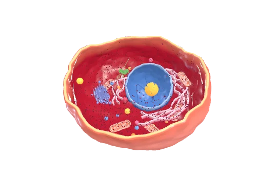 AnimalCell, drawn by the component itself