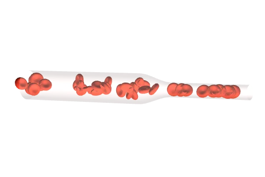 BloodFlow, drawn by the component itself